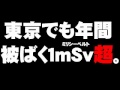 東京の年間被ばく限度越える放射線量について。- 2011.05.28