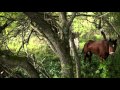 ホープロッヂで乗馬★長門牧場キャンプ★