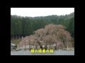 2013  はっぴ～のお庭栗東へ