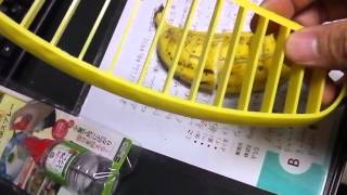 ダイソー　100均！　バナナスライサー！をレビュー（２）