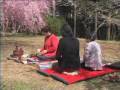 しだれ桜の里（たけくらべ広場）