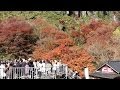 耶馬渓の紅葉見物でにぎわう　大分