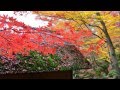 教林坊1311