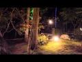 松島・夜の円通院の紅葉と音楽鑑賞／源　住泰