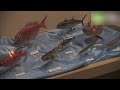 日本海文化のアカデミア みくに龍翔館 - 　街ログ
