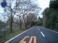 福井県道5号　北潟湖畔