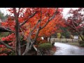 大池寺2012