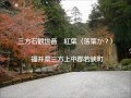 三方石観世音 紅葉（落葉か？）