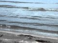 2010海水浴