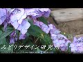 ガーデニングショーとお庭の植物