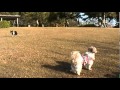 洲原公園　2010.12.06