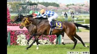 桜花賞馬 ジュエラーが骨折