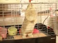 エンザイム
