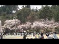 村松公園 桜まつり (2013.04.14)
