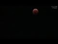 皆既月食と航空機の競演 (8-Oct-2014) Lunar eclipse & Aircrafts.