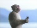 専業主婦探偵～私はシャドウ～を見ているPerfume好きにしかわからないMADCM