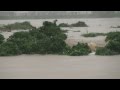 (HD)台風18号現地映像 - 淀川水系桂川 中流・園部川～大堰川の中堤防が決壊　Typhoon Man-yi