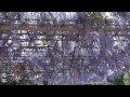 金蛇水神社「藤・牡丹・蛇石」　（宮城県岩沼市）