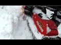 2012 01 29　一人？、　皆でレスキュー