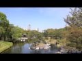 20140411白鳥庭園