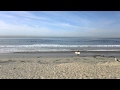 Pacific Beach Long board surfing at Tourmaline St. surf park 00085 サーフィン