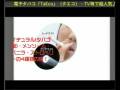 電子タバコ「TaEco」（タエコ）通販CM／値上がり対策・節煙・禁煙・減煙！