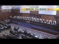 国際司法裁が判決　日本の調査捕鯨「認めない」(14/04/01)