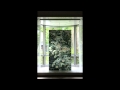 愛知県美術館 APMoA Project, ARCH Vol.6 藤永覚耶　インターバル撮影