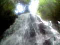 滝。信楽の　鶏鳴の滝