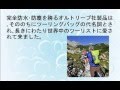 ORTLIEB(オルトリーブ) エアフレックス11 シグナルレッド/グレー 11L R5603