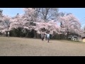 足羽山公園