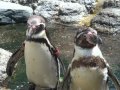 鴨川シーワールドへ行って来ました！