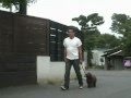 トイプードルのしつけ（森田誠の犬しつけ）