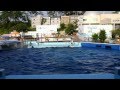 越前松島水族館のイルカショー