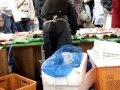3.11ゆりあげの集い・朝市