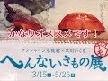 変すぎる！サンシャイン水族館　へんないきもの展のへんな魚たち