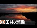 【 うろうろ和歌山 】 夕日 夕焼け スポット 田井ノ瀬橋 中洲 紀ノ川 the red sky at sundown 和歌山市 田井ノ瀬 グラウンド あたり sunset clouds