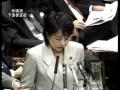 蓮舫vs猪口邦子2006年国会