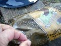 南竜ヶ馬場で極寒の野営