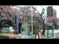 JR東日本駅からハイキング　熱海駅(期間設定コース)　2013/02/17