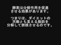 酵素ダイエットは本当に効果があるのか