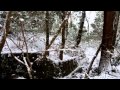 雪の石馬寺