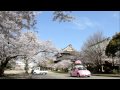 Sakurasaku New Beetle100403東本願寺名古屋別院.mov