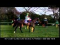 第55回 有馬記念 （GⅠ）：2010年競馬の総決算!!