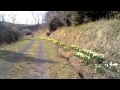 宮城県大崎市鹿島台町民の憩いの森