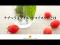 ナチュラルダイエットマイスターとは