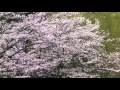 23-51-08　定光寺の四季2011
