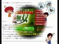 JRA-VAN対応の競馬ソフト『競馬無双』ってどんなソフトなの？