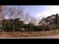 高千穂小学校→牧園の街角まで歩く　流れる冬雲　20130114