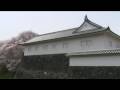 山形城（４） 二の丸東大手門と桜